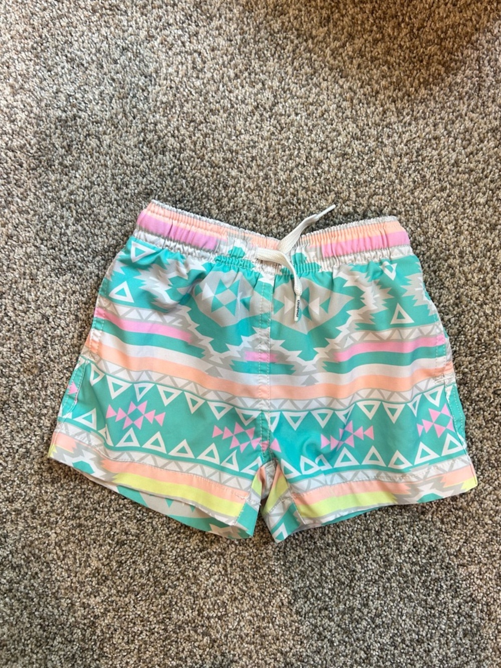 Chubbies Swim Trunks